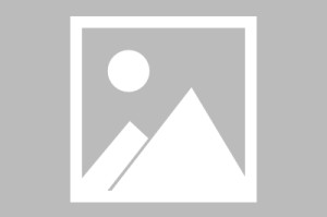 小米汽车官方回应安徽Su7事故：仅能确定事故车起火并非部分网传的“自燃”